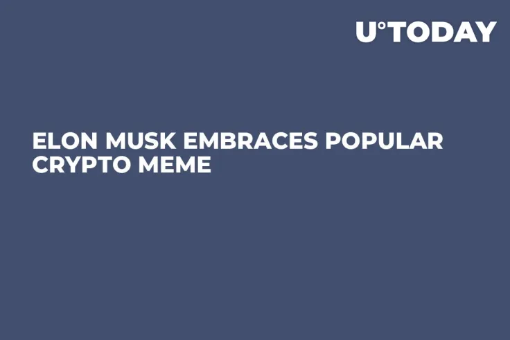 Elon Musk Embraces Popular Crypto Meme