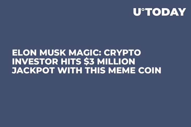 Elon Musk Magic: Crypto Investor Hits $3 Million Jackpot With This Meme Coin