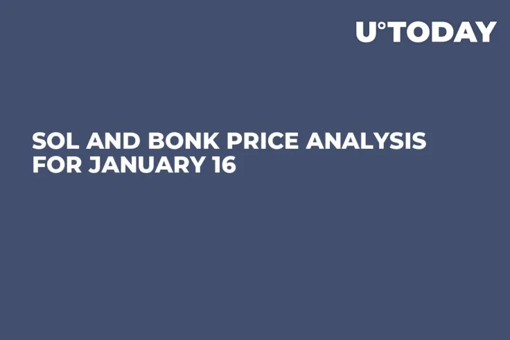 SOL and BONK Price Analysis for January 16