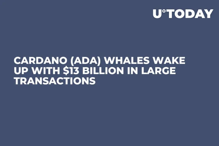 Cardano (ADA) Whales Wake up With $13 Billion in Large Transactions
