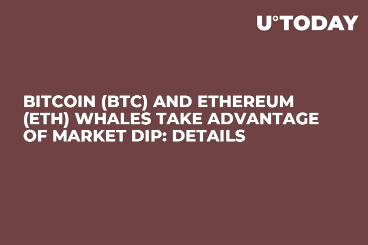 Bitcoin (BTC) and Ethereum (ETH) Whales Take Advantage of Market Dip: Details