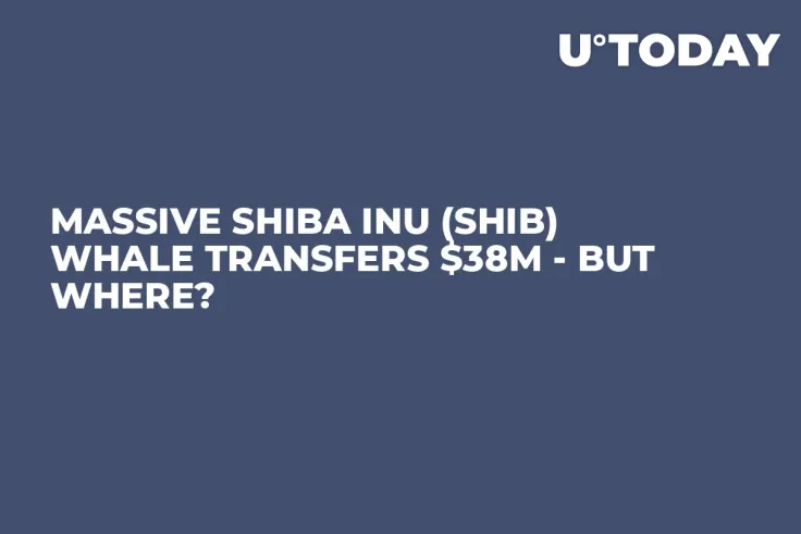 Massive Shiba Inu (SHIB) Whale Transfers $38M - But Where?