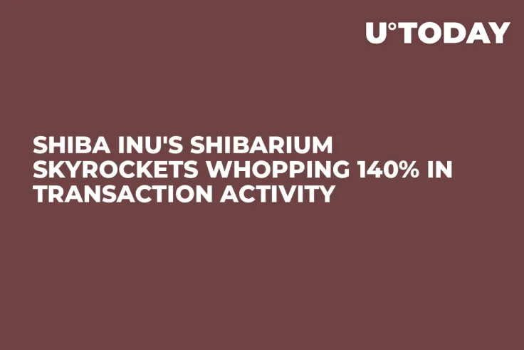 Shiba Inu's Shibarium Skyrockets Whopping 140% in Transaction Activity