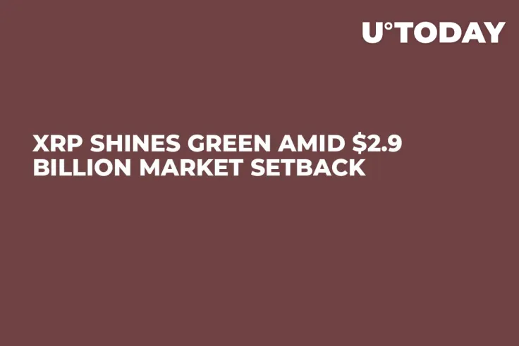 XRP Shines Green Amid $2.9 Billion Market Setback