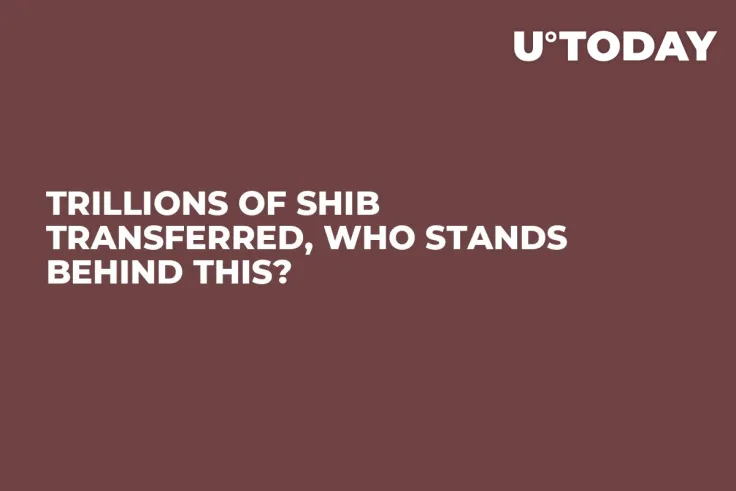 Trillions of SHIB Transferred, Who Stands Behind This?