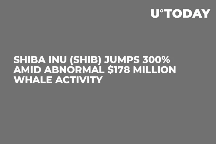 Shiba Inu (SHIB) Jumps 300% Amid Abnormal $178 Million Whale Activity