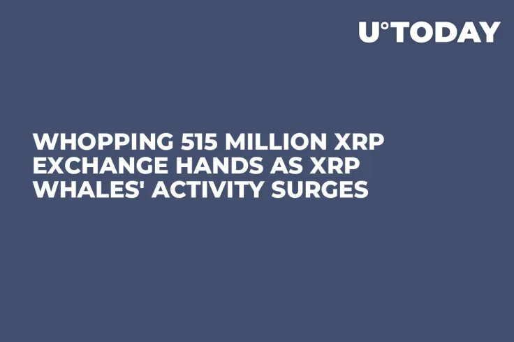 Whopping 515 Million XRP Exchange Hands as XRP Whales' Activity Surges