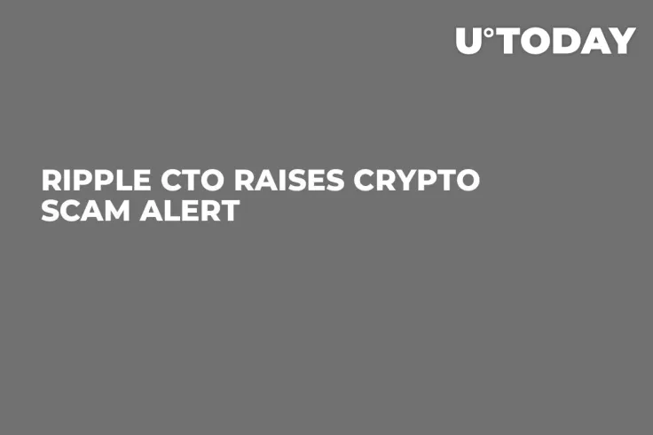 Ripple CTO Raises Crypto Scam Alert