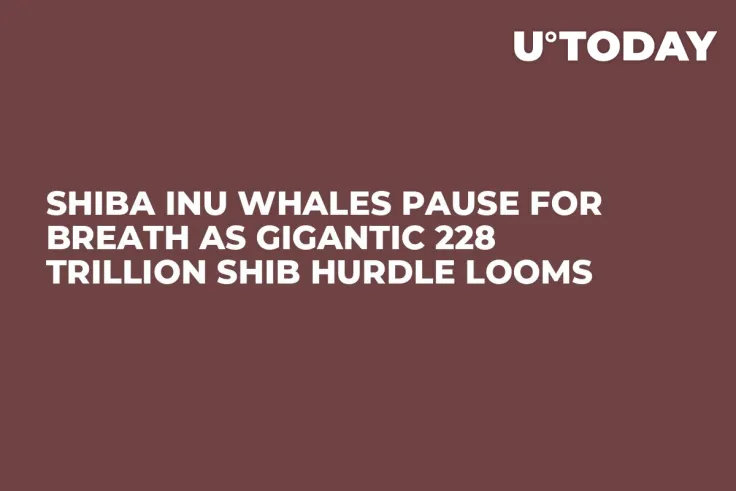 Shiba Inu Whales Pause for Breath as Gigantic 228 Trillion SHIB Hurdle Looms