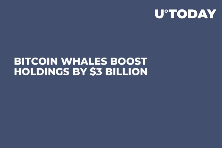 Bitcoin Whales Boost Holdings by $3 Billion