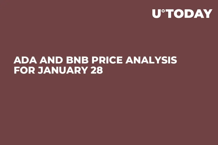 ADA and BNB Price Analysis for January 28