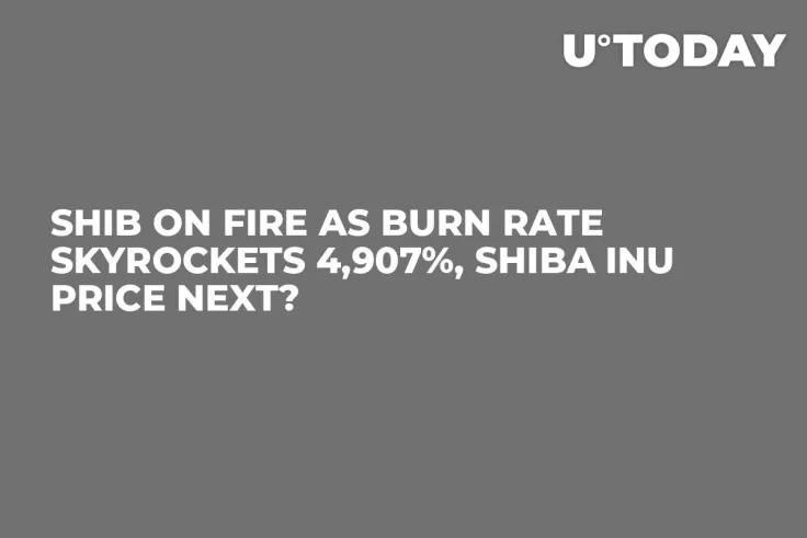 SHIB on Fire as Burn Rate Skyrockets 4,907%, Shiba Inu Price Next?