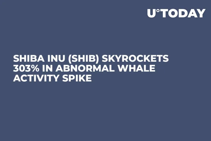 Shiba Inu (SHIB) Skyrockets 303% in Abnormal Whale Activity Spike