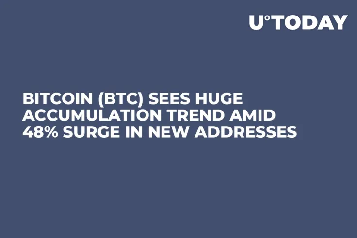 Bitcoin (BTC) Sees Huge Accumulation Trend Amid 48% Surge in New Addresses
