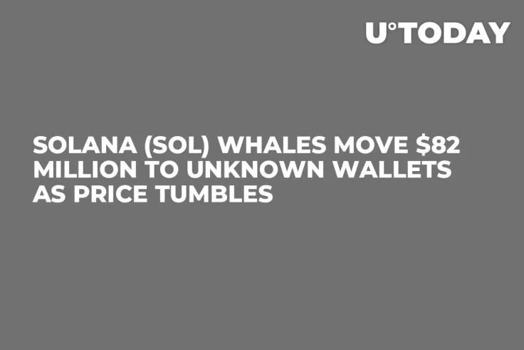 Solana (SOL) Whales Move $82 Million to Unknown Wallets as Price Tumbles