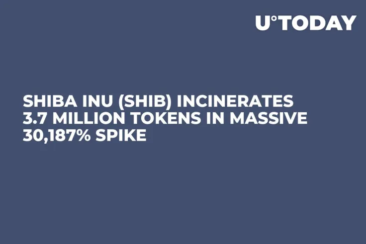Shiba Inu (SHIB) Incinerates 3.7 Million Tokens in Massive 30,187% Spike