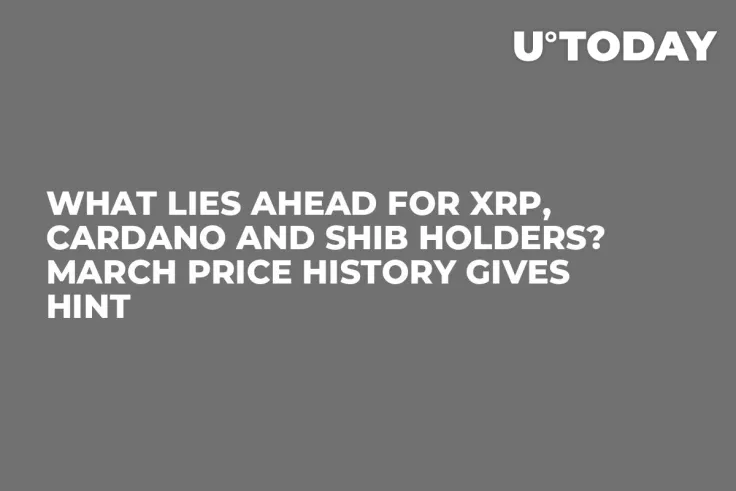 What Lies Ahead for XRP, Cardano and SHIB Holders? March Price History Gives Hint