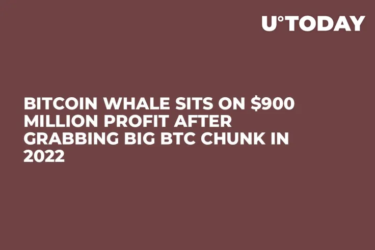 Bitcoin Whale Sits on $900 Million Profit After Grabbing Big BTC Chunk in 2022