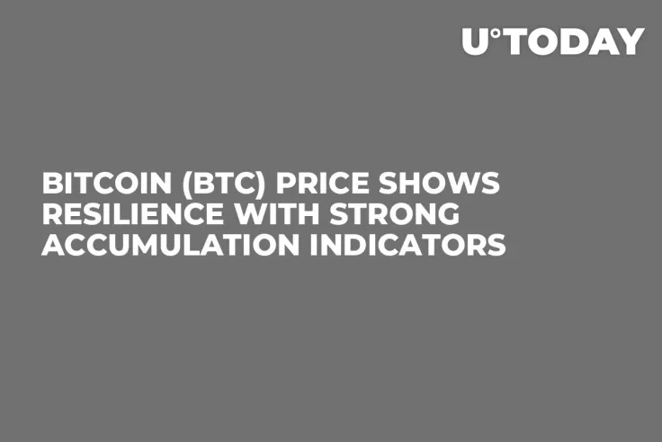 Bitcoin (BTC) Price Shows Resilience With Strong Accumulation Indicators