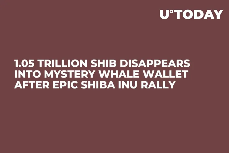 1.05 Trillion SHIB Disappears Into Mystery Whale Wallet After Epic Shiba Inu Rally