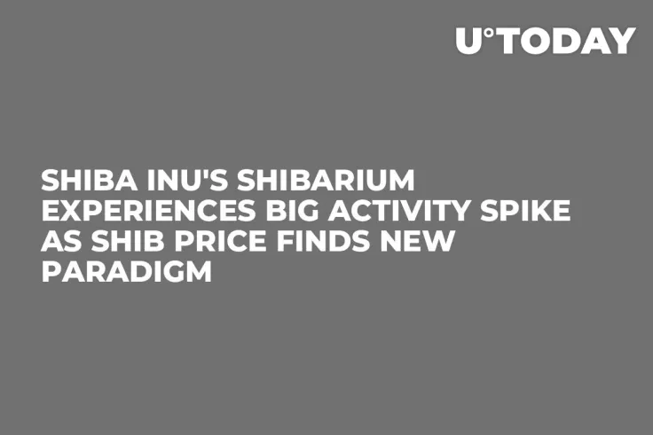 Shiba Inu's Shibarium Experiences Big Activity Spike as SHIB Price Finds New Paradigm