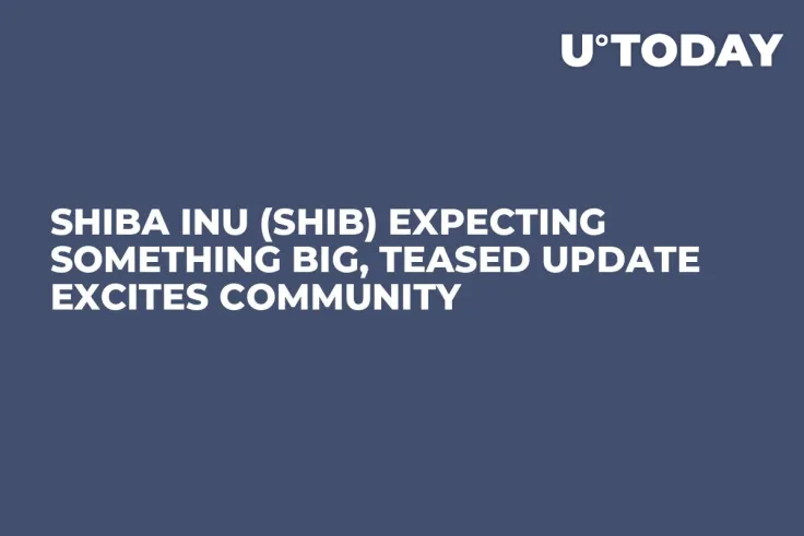 Shiba Inu (SHIB) Expecting Something Big, Teased Update Excites Community