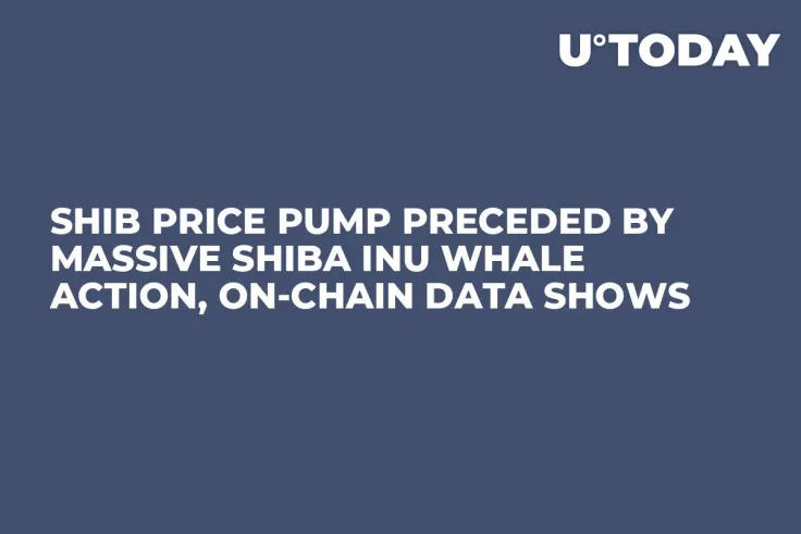 SHIB Price Pump Preceded by Massive Shiba Inu Whale Action, On-Chain Data Shows