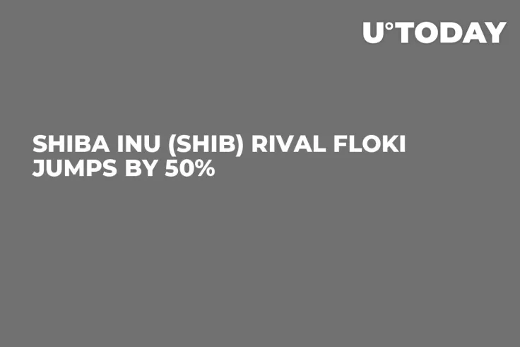 Shiba Inu (SHIB) Rival FLOKI Jumps by 50%