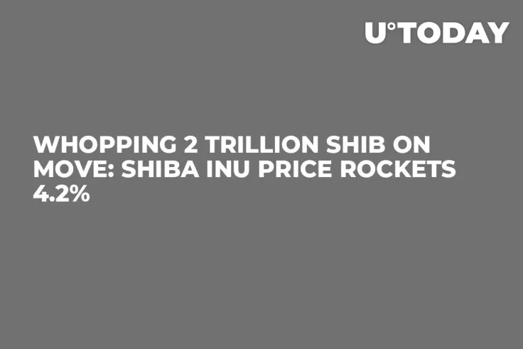 Whopping 2 Trillion SHIB on Move: Shiba Inu Price Rockets 4.2%