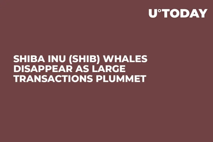 Shiba Inu (SHIB) Whales Disappear as Large Transactions Plummet 