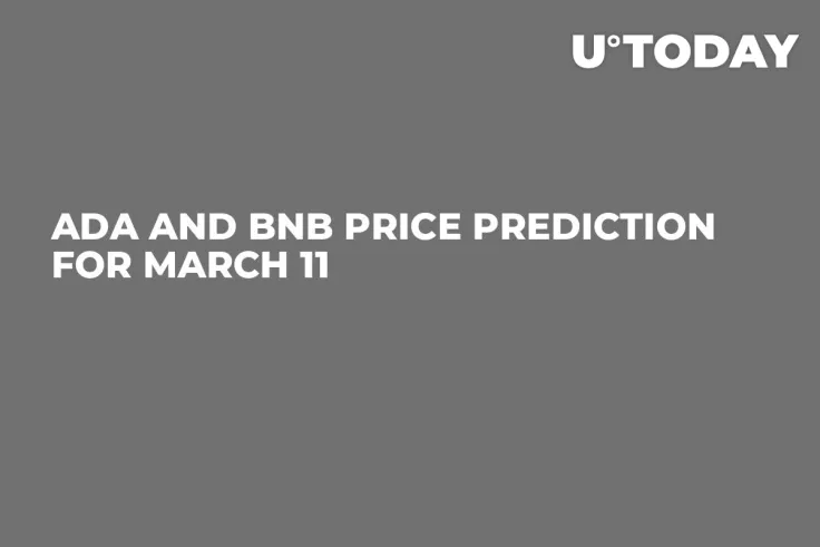 ADA and BNB Price Prediction for March 11