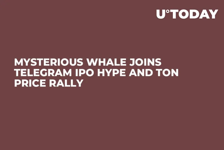 Mysterious Whale Joins Telegram IPO Hype and TON Price Rally