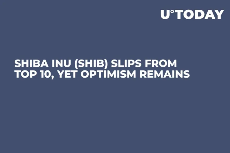 Shiba Inu (SHIB) Slips From Top 10, Yet Optimism Remains