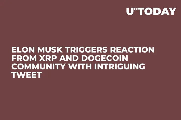 Elon Musk Triggers Reaction From XRP and Dogecoin Community With Intriguing Tweet