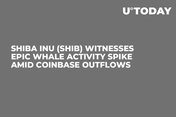 Shiba Inu (SHIB) Witnesses Epic Whale Activity Spike Amid Coinbase Outflows