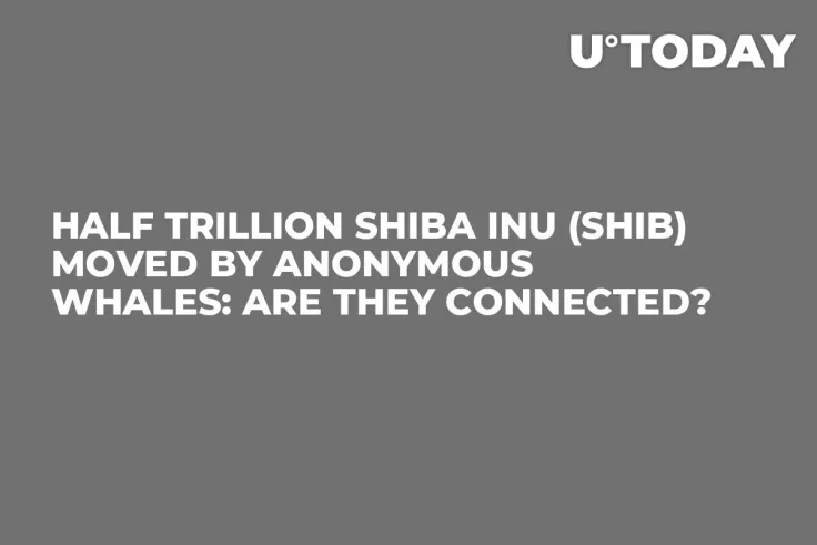 Half Trillion Shiba Inu (SHIB) Moved by Anonymous Whales: Are They Connected?