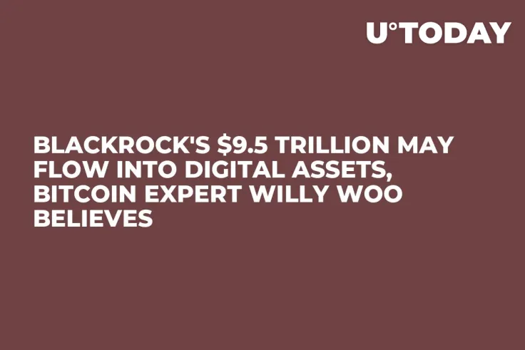 BlackRock's $9.5 Trillion May Flow Into Digital Assets, Bitcoin Expert Willy Woo Believes