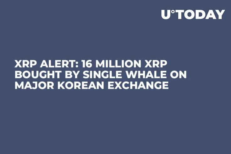 XRP Alert: 16 Million XRP Bought by Single Whale on Major Korean Exchange