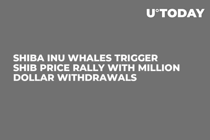 Shiba Inu Whales Trigger SHIB Price Rally With Million Dollar Withdrawals