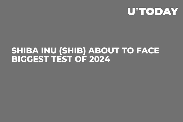 Shiba Inu (SHIB) About to Face Biggest Test of 2024