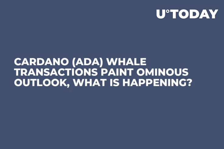 Cardano (ADA) Whale Transactions Paint Ominous Outlook, What Is Happening?
