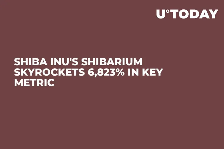 Shiba Inu's Shibarium Skyrockets 6,823% in Key Metric