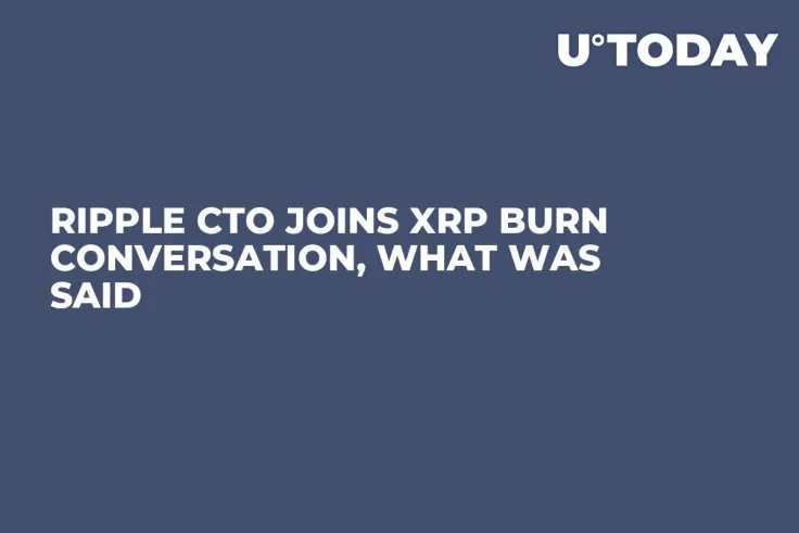 Ripple CTO Joins XRP Burn Conversation, What Was Said