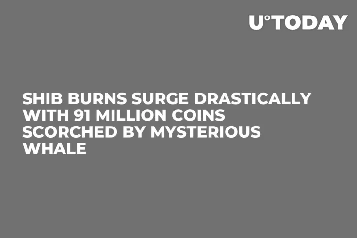 SHIB Burns Surge Drastically With 91 Million Coins Scorched by Mysterious Whale 