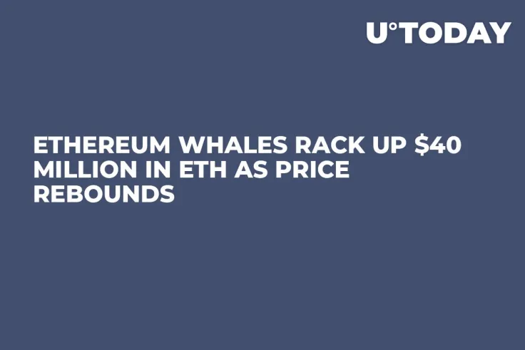 Ethereum Whales Rack up $40 Million in ETH as Price Rebounds