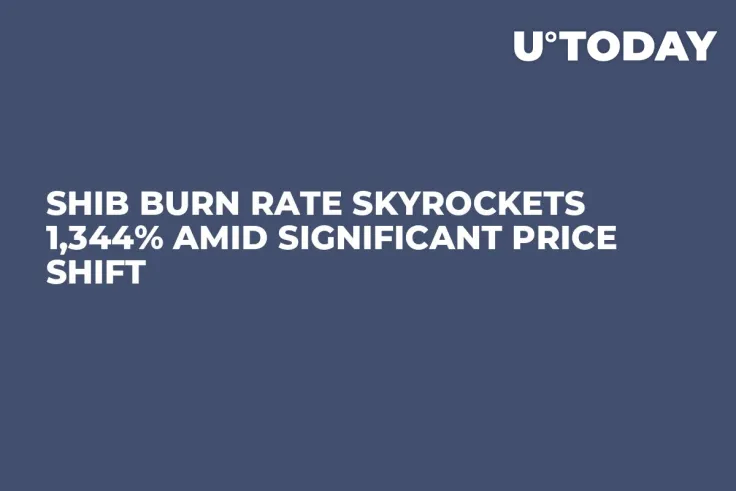 SHIB Burn Rate Skyrockets 1,344% Amid Significant Price Shift