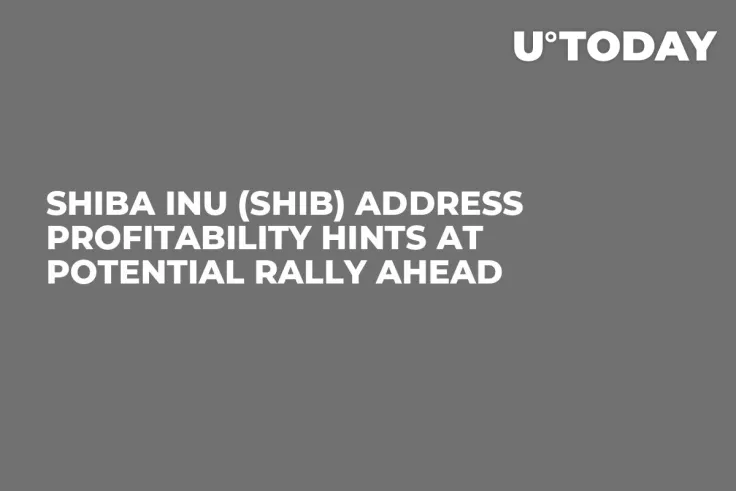 Shiba Inu (SHIB) Address Profitability Hints at Potential Rally Ahead