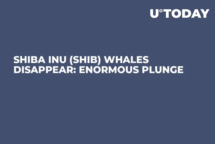 Shiba Inu (SHIB) Whales Disappear: Enormous Plunge 