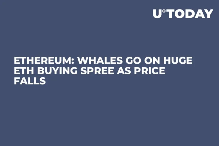 Ethereum: Whales Go on Huge ETH Buying Spree as Price Falls