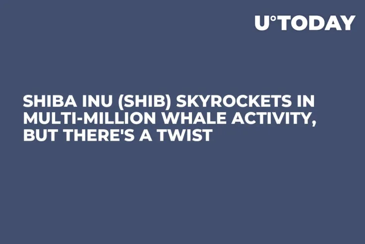 Shiba Inu (SHIB) Skyrockets in Multi-Million Whale Activity, But There's a Twist